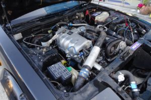 Z31