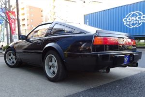 Z31