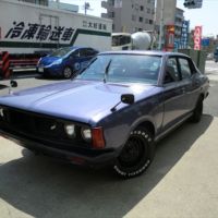S50 P610 ブルーバード ブルーバード